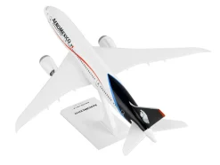 Boeing 787-8 Commercial Aircraft 