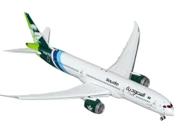 Boeing 787-9 Commercial Aircraft with Flaps Down 