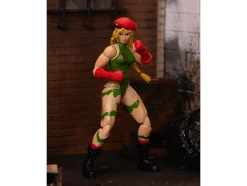 Cammy 6
