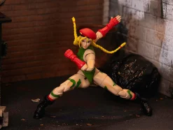 Cammy 6