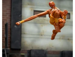 Dhalsim 6
