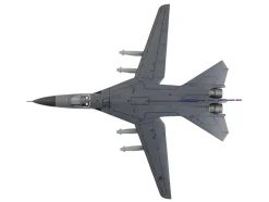 General Dynamics F-111C Pig Aircraft