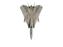 Grumman F-14A Tomcat Fighter Aircraft