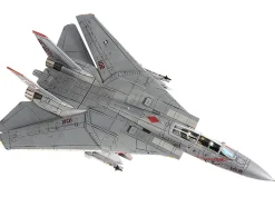 Grumman F-14B Tomcat Fighter Aircraft 