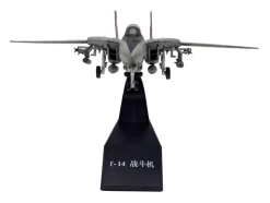 Grumman F-14D Tomcat Aircraft
