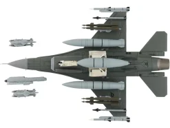 Lockheed F-16C Fighting Falcon Fighter Aircraft 
