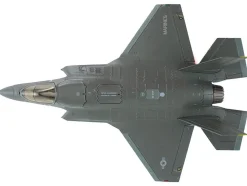 Lockheed Martin F-35B Lightning II Aircraft (Beast Mode) 