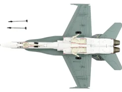 McDonnell Douglas F/A-18C Hornet Aircraft