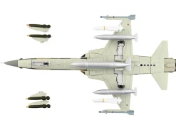 Northrop F-5F Tiger II Aircraft