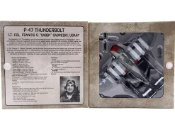 Republic P-47 Thunderbolt Fighter Aircraft 