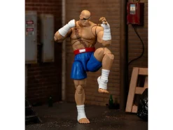 Sagat 7.5