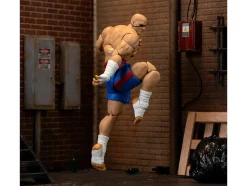 Sagat 7.5