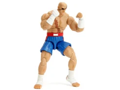 Sagat 7.5