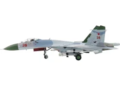 Sukhoi Su-27 Flanker-B Fighter Aircraft 