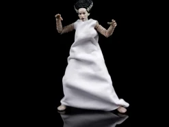 The Bride of Frankenstein 6