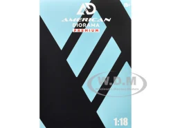 Top Tuners Figure #5 "Premium" Series for 1/18 Scale Models by American Diorama