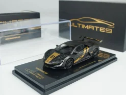 Yangwang U9 #01 Carbon Fiber with Gold Stripes 